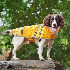 Sötnos Hunderegenmantel -Tierbedarf Geschäft stnos hondenregenjas 130475 0500 none