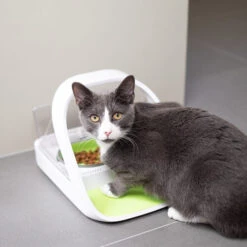 Surefeed Connect Mikrochip-Futterautomat -Tierbedarf Geschäft surefeed microchip voerbak connect 221217 0500 none