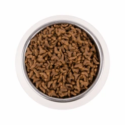 Vetality Gastrointestinal - Katzenfutter -Tierbedarf Geschäft vetality gastrointestinal kattenvoer 217720 0500 none