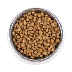 Vetality Metabolic & Mobility - Hundefutter -Tierbedarf Geschäft vetality metabolic mobility hondenvoer 195275 0500 none