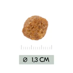 Vetality Metabolic & Mobility - Hundefutter -Tierbedarf Geschäft vetality metabolic mobility hondenvoer 195470 0500 none