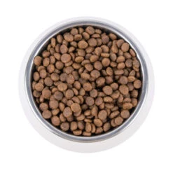 Vetality Renal - Katzenfutter -Tierbedarf Geschäft vetality renal kattenvoer 195263 0500 none