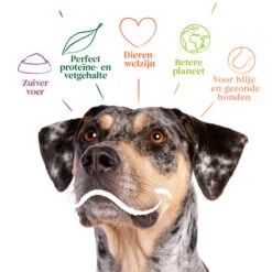 Yarrah - Bio Trockenfutter Vega Getreidefrei -Tierbedarf Geschäft yarrah bio droogvoer hond vega graanvrij 201212 0500 none