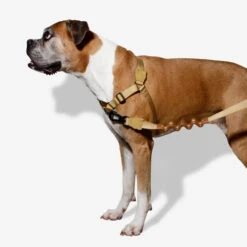 Zee.Dog Soft Walk Harness -Tierbedarf Geschäft zeedog soft walk harness 200678 0500 none